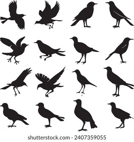 Bird's black silhouettes set. bird silhouettes on white background