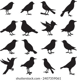 Bird's black silhouettes set. bird silhouettes on white background