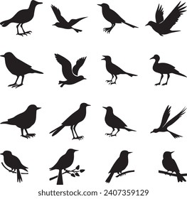 Bird's black silhouettes set. bird silhouettes on white background