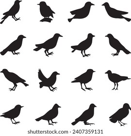 Bird's black silhouettes set. bird silhouettes on white background