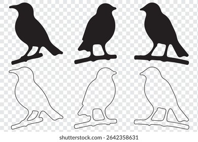 Bird's black silhouettes set. bird silhouettes. isolated on white background.