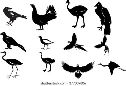 Birds black silhouettes set isolated on white