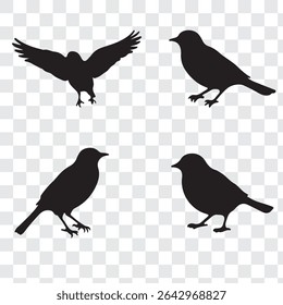 Birds black silhouettes vector. Eps 10