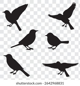 Vector de siluetas negras de pájaros. Eps 10