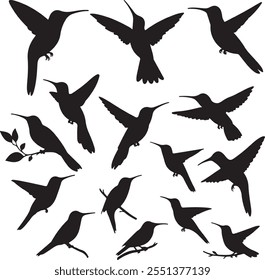 Birds black silhouettes  white background