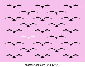 birds, black and white on pink background 