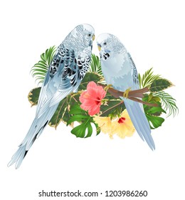 Birds Budgerigars, home pets ,blue pets parakeets  on a branch bouquet with tropical flowers hibiscus, palm,philodendron on a white background vintage vector illustration editable hand draw