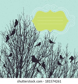 Birds in the Bush