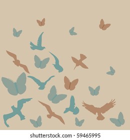 birds, butterflies background