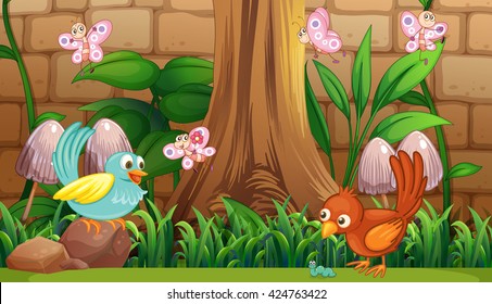 Birds and butterflies in the garden illustration