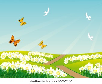 Birds and butterflies over the meadow. Vector illustration