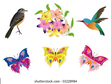 birds, butterfly and  flowers