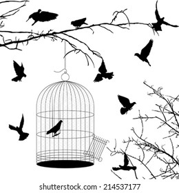 Birds and cage silhouettes over white background