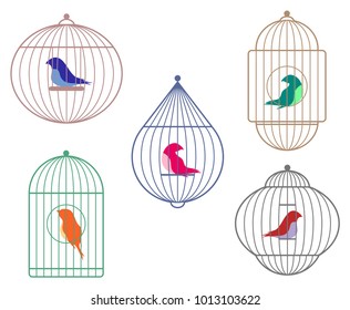  Birds in cages collection