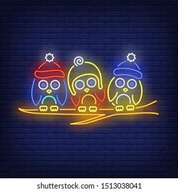 Birds in caps on branch neon sign. Bird, cap, winter. Night bright advertisement. Vector illustration in neon style for banner, billboard