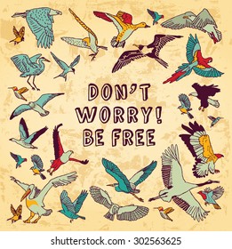 Birds card be free color grange. Frame with group of different birds, cards or poster about freedom. Color vector illustration. Eps 8.
