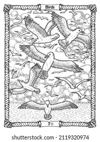 Birds card from the oracle Old Marine Lenormand deck with flying gulls and waves. Nautical vintage background, coloring book page, t-shirt and tattoo vector graphic, pirate adventures concept. 