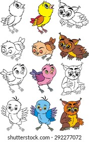 birds  cartoon
