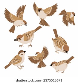 birds  cartoon sparrow vectors for different purpose