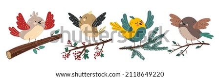 Similar – Image, Stock Photo Singing robin