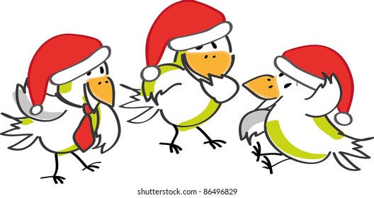 Birds and Christmas time