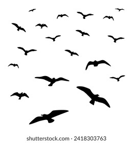 birds circling in the sky, black