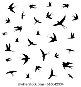 birds circling,vector illustration