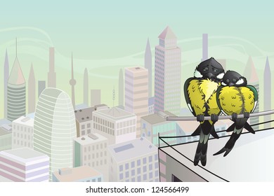 Birds in the City