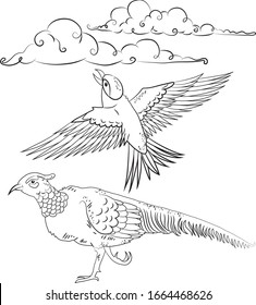 Birds and clouds vector illustrations