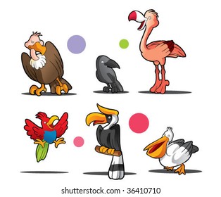 colección de aves