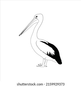 2,705 Black pelican silhouette Images, Stock Photos & Vectors ...