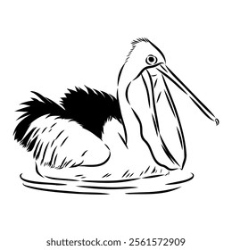 Birds collection Australian pelican bird isolated vector image Pelican Black and white vector