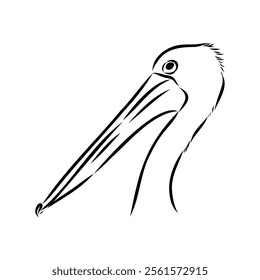 Birds collection Australian pelican bird isolated vector image Pelican Black and white vector