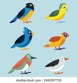 Colección de aves. Se organizan diferentes pequeños pájaros. Ilustración de vectores animales salvajes.