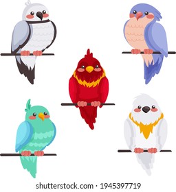 Vogelsammlung. Unterschiedliche kleine Vögel setzen sich zusammen. Tierische Vektorgrafik.