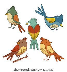 Birds collection. Different small birds set. Wildlife animal vector illustration.