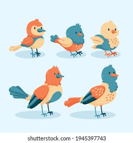 Colección de aves. Se organizan diferentes pequeños pájaros. Ilustración de vectores animales salvajes.