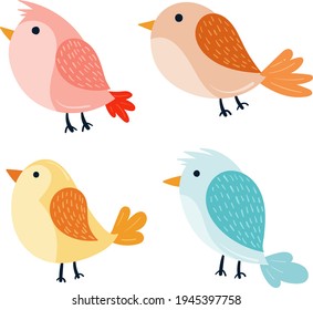 Birds collection. Different small birds set. Wildlife animal vector illustration.
