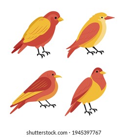 Birds collection. Different small birds set. Wildlife animal vector illustration.
