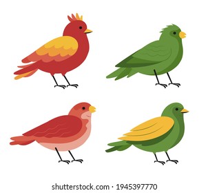 Colección de aves. Se organizan diferentes pequeños pájaros. Ilustración de vectores animales salvajes.