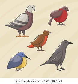 Colección de aves. Se organizan diferentes pequeños pájaros. Ilustración de vectores animales salvajes.