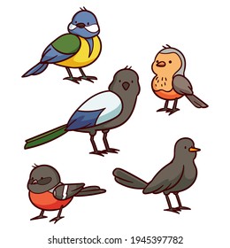 Birds collection. Different small birds set. Wildlife animal vector illustration.