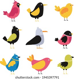Birds collection. Different small birds set. Wildlife animal vector illustration.