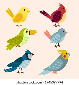Birds collection. Different small birds set. Wildlife animal vector illustration.