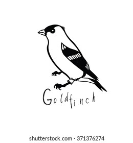 Birds collection Goldfinch Black and white vector