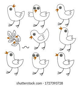 Birds collection. Isolated vector illustration on white background. Set of line art cartoon birds sketch hand drawn.Can be used in textile, decor, wrapping paper.