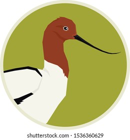 Birds collection Red-necked avocet Vector illustration Round frame set