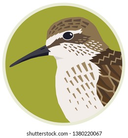 Birds collection Sandpiper Vector illustration of a bird in a round frame set