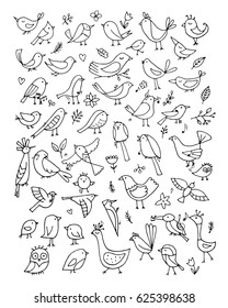 Birds collection, sketch for your design