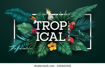 Birds collection and tropical plants background